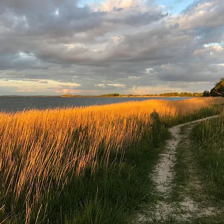 Fruehling Am Mit Ostseeblick, Kamin Und Sauna Nur 500 M Vom Entfernt Semesterbostad